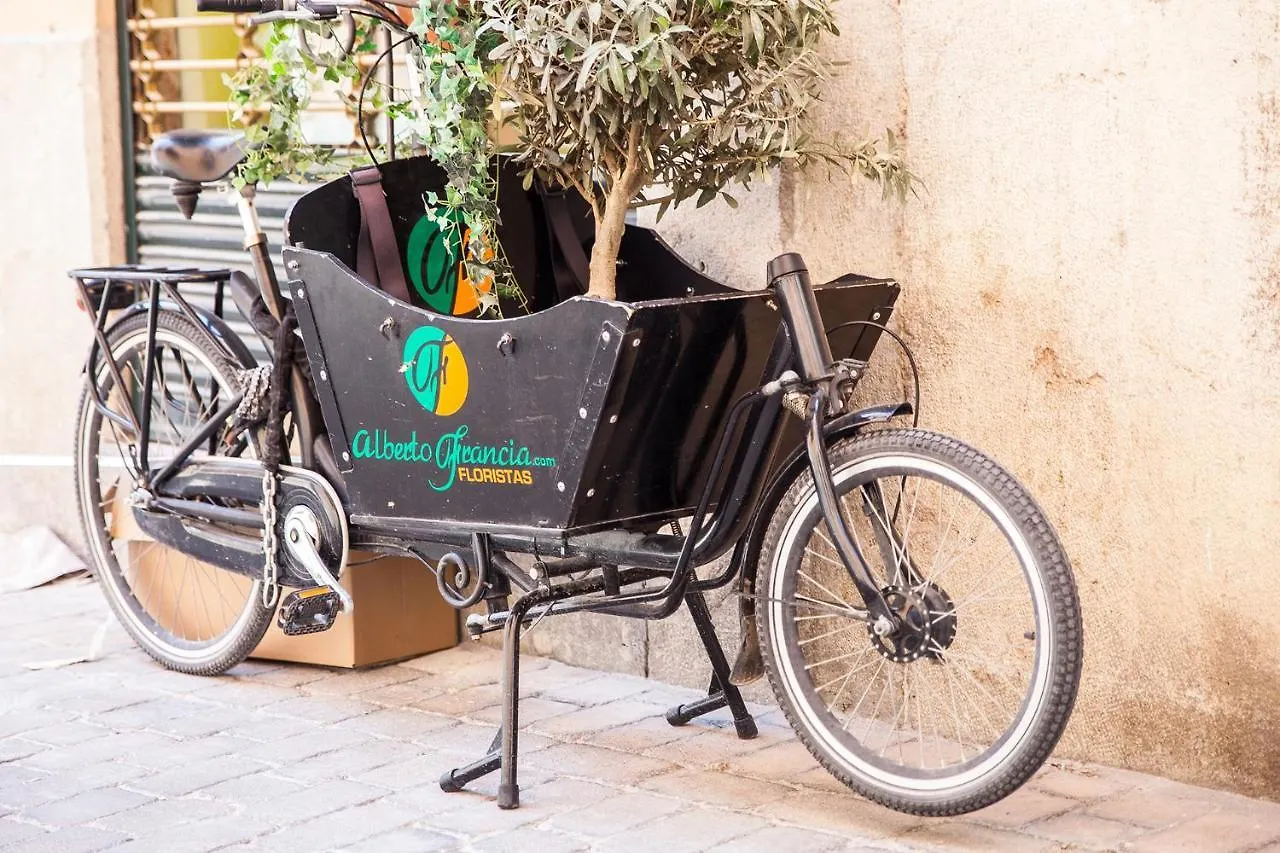 Made In Palma -Turismo De Interior location